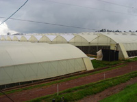 Alliance